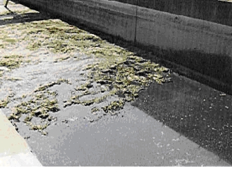 Klärschlamm Energie und Abfall in einem